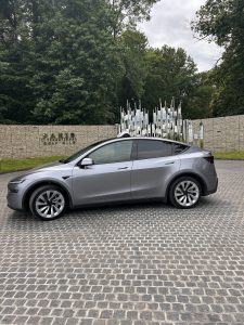taxi tesla 95